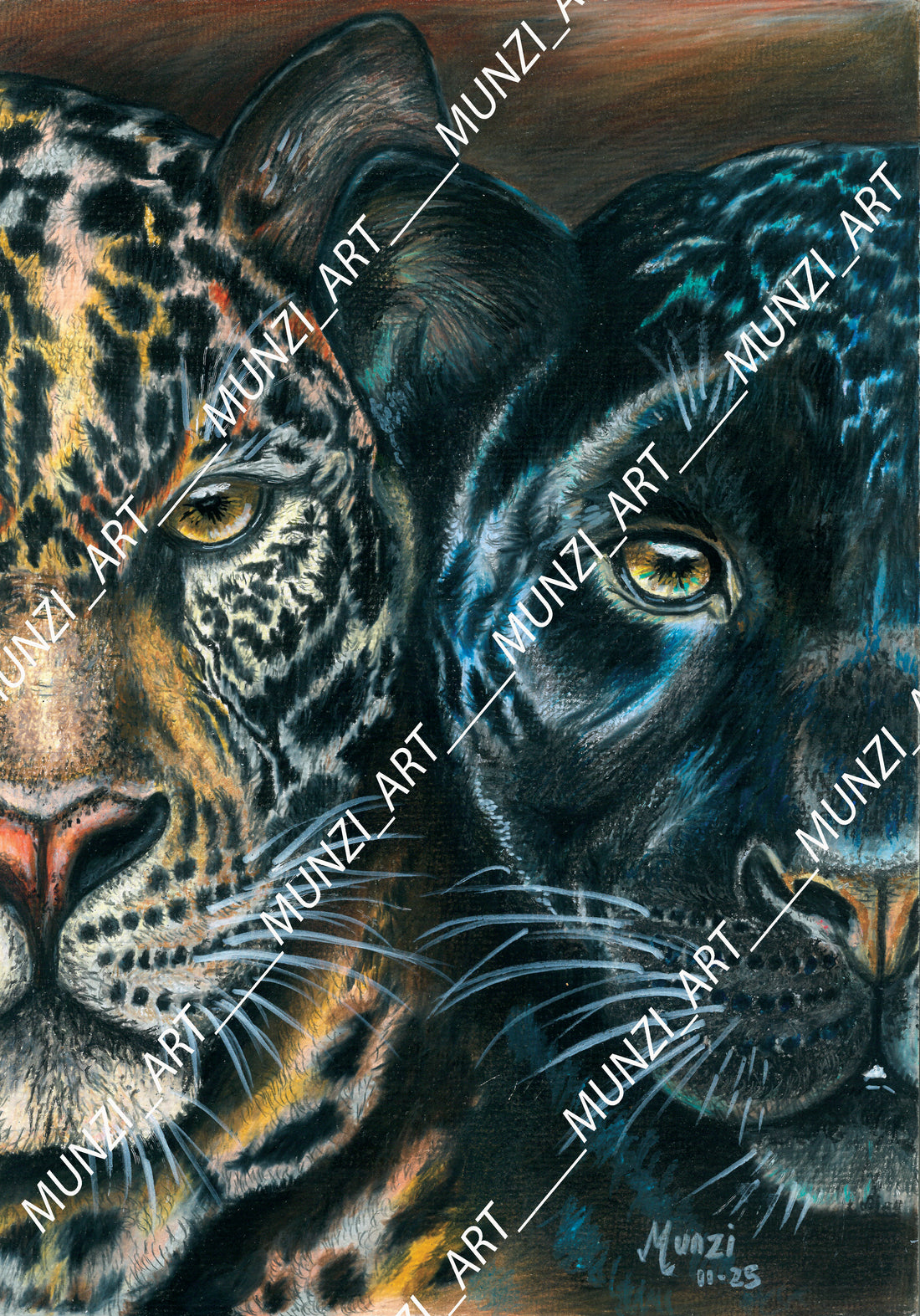 Pencil drawing of a of a leopard and panther close up. The amazing love connection between the two animals. Original artwork black panther staring eye. Sleek leopard with piercing eyes.